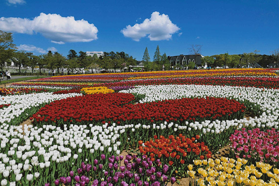 「春爛漫」丹羽 春美