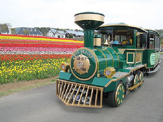 花畑を回る列車