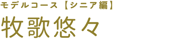 モデルコース【デート】ボクたち大活躍！