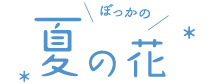 夏のぼっかのお花