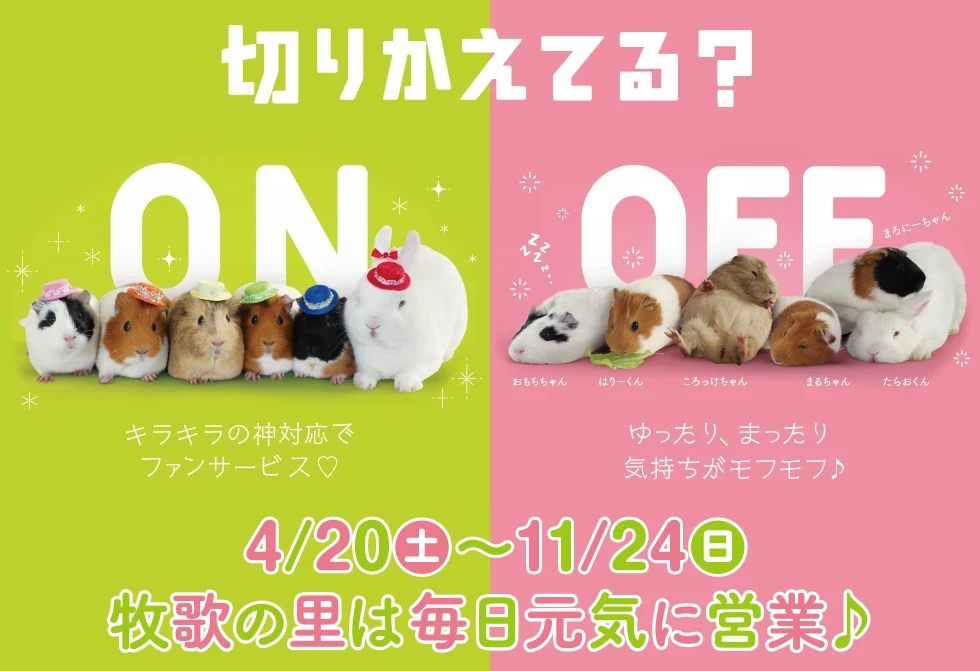 4/20(土)～11/24(日)　牧歌の里は毎日元気に営業♪