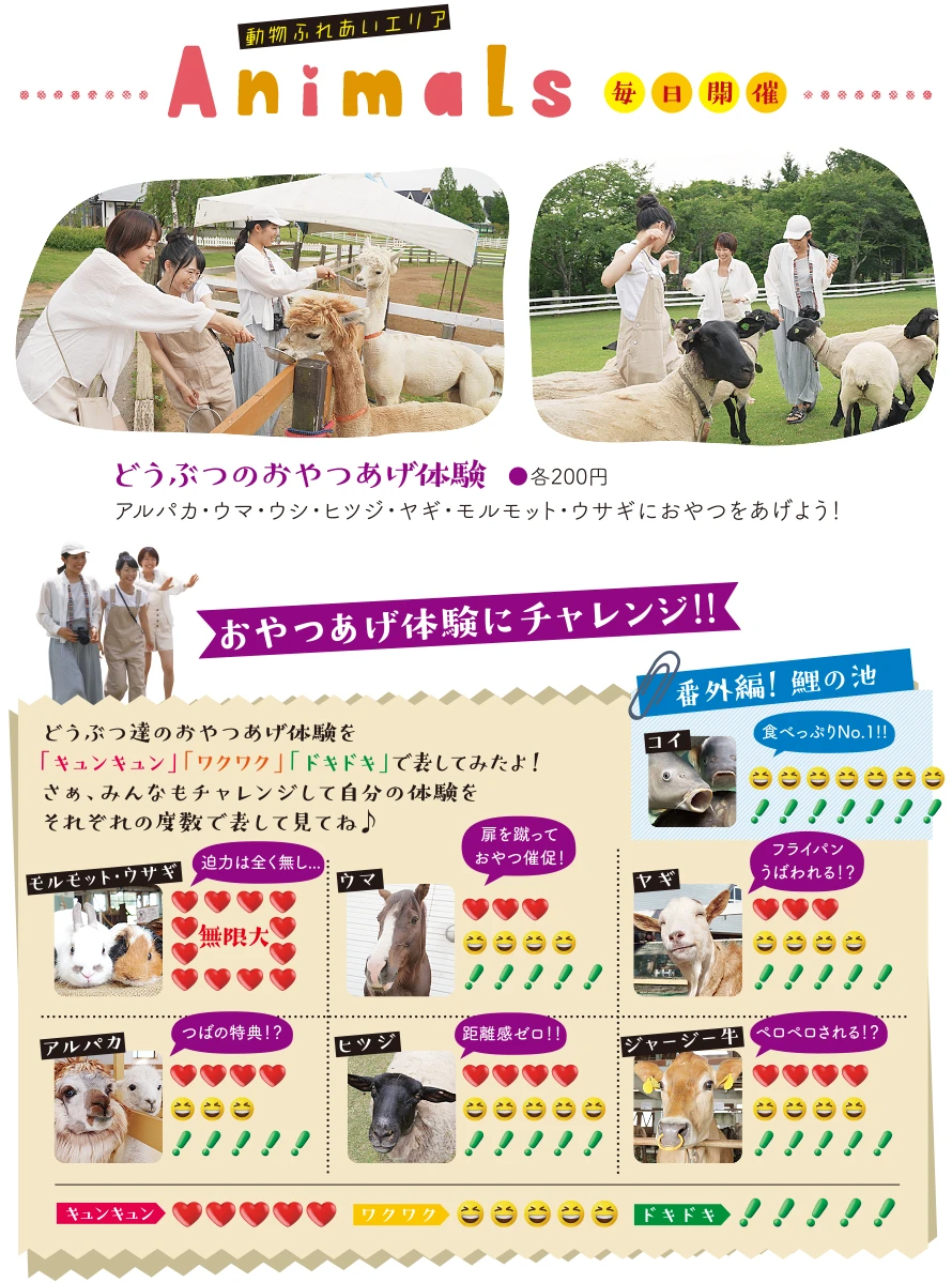 毎日開催　動物ふれあいエリア