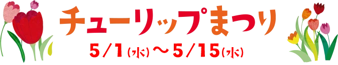 チューリップまつり - 5/1(水)～5/15(水)