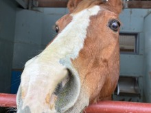 2/27(金)牧歌の里の天気《霧》雪遊び、スキー、ボードのあとは「温泉♨︎牧華」
