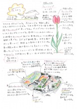 2026年　農園スタッフからの『花たより4月号』