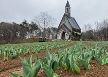 4/7(火)　休園中の牧歌の里　　　グリーンシーズンまであと11日