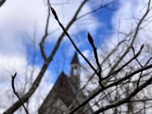 3/19(木)牧歌の里の天気《曇り》恵の春の雨