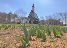 4/3(金)　休園中の牧歌の里　グリーンシーズンまであと15日