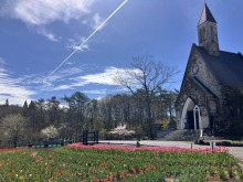 4/22(水)牧歌の里の天気《晴れ》チューリップ畑5分咲き！チューリップ畑で高原ハイキング♪