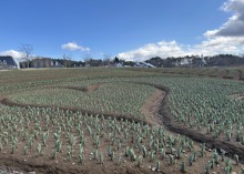 4/2(木)　休園中の牧歌の里　グリーンシーズンまであと16日