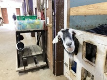 2/25(水)牧歌の里の天気《雨》雨の日も楽しめる手作り体験＆動物とのふれあい