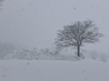 【12/19まで休園中の牧歌の里】ウインターシーズンまで残り15日！積雪35cm