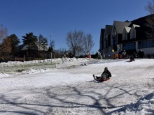 3/12(木)牧歌の里の天気《晴れ》春の放牧場で砂浴びゴロゴロ♪