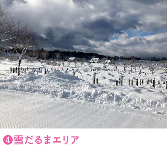 ➍雪だるまエリア