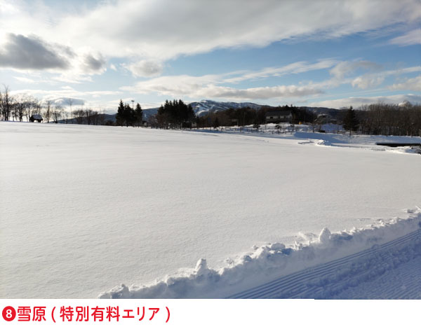 ➑雪原(特別有料エリア)